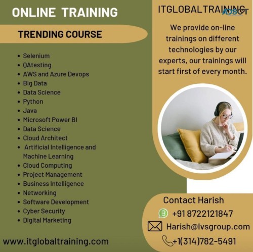 Professional Courses by Professionals