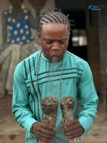 The Best Powerful Herbalist In Nigeria 