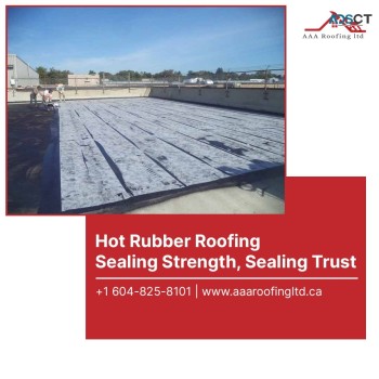 AAA Roofing Ltd - Delta Roofing Company