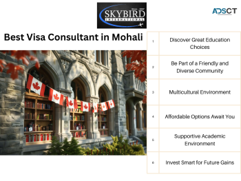 Top Immigration Consultants in Mohali: Skybird International