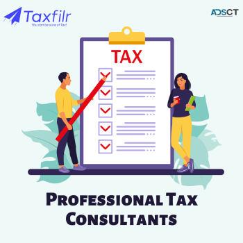 Professional Tax Consultants-Taxfilr