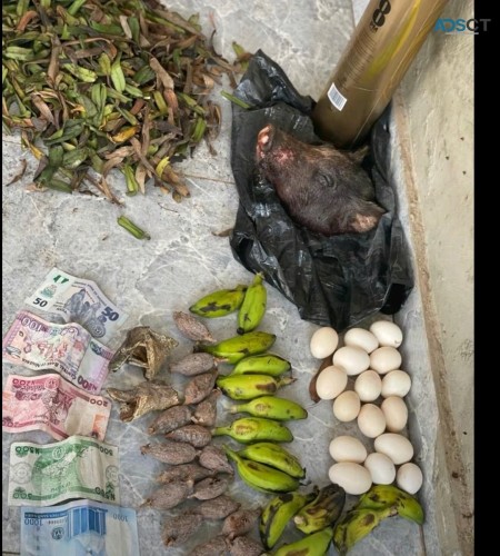 The best powerful spiritual herbalist juju man in Nigeria +234 7053238713