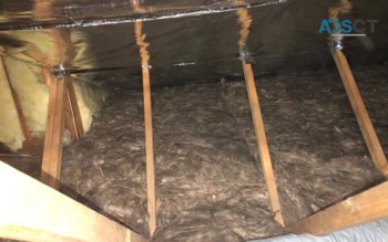 Attic Clean Up Services