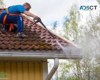 Professional Roof and Gutter Cleaning Services