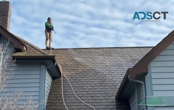 Best Roof Cleaning Services in Puyallup, WA