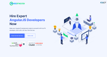 Hire AngularJS Developers and programmer
