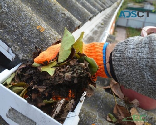 Trusted Gutter Cleaning Services in Puyallup, WA