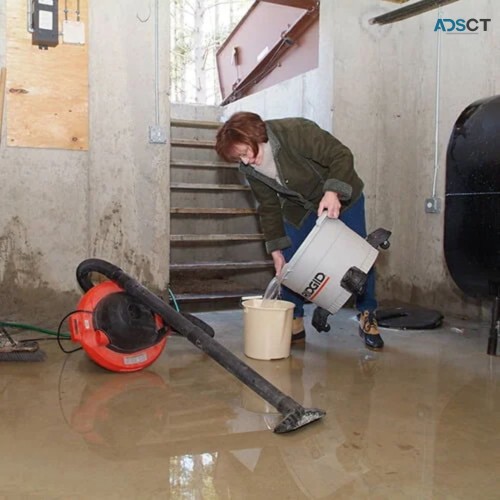 Basement Waterproofing Services in Chesapeake